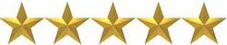 Vintagelimos.BIZ is 5 star rated on Google
